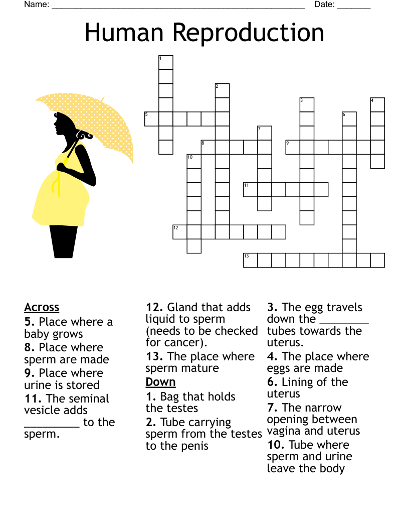 Workers In The Vineyard Crossword WordMint Workers In The Vineyard Crossword WordMint