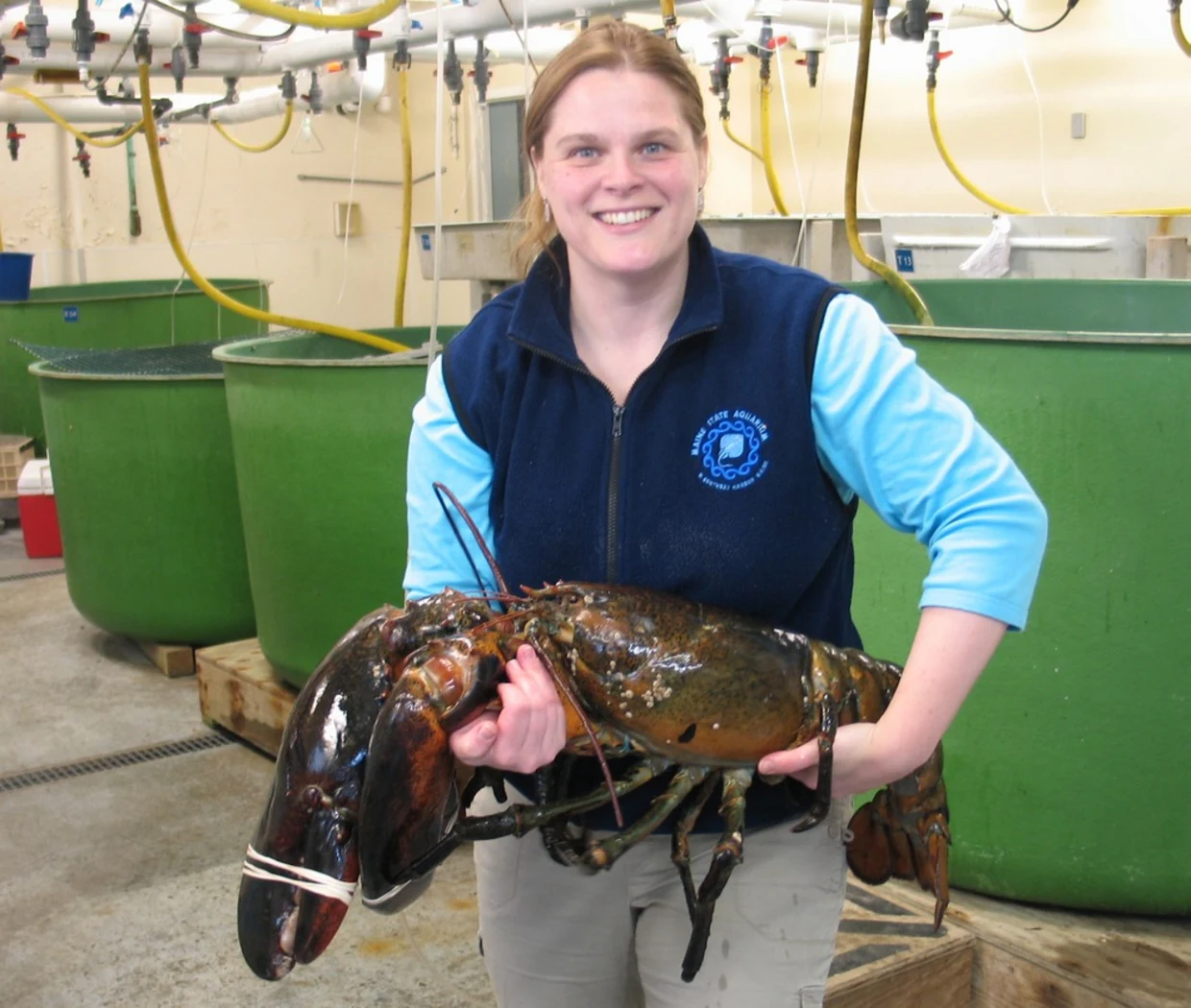 World Biggest Lobster Ever Caught Unbelievable Giants Ocean World Biggest Lobster Ever Caught Unbelievable Giants Ocean