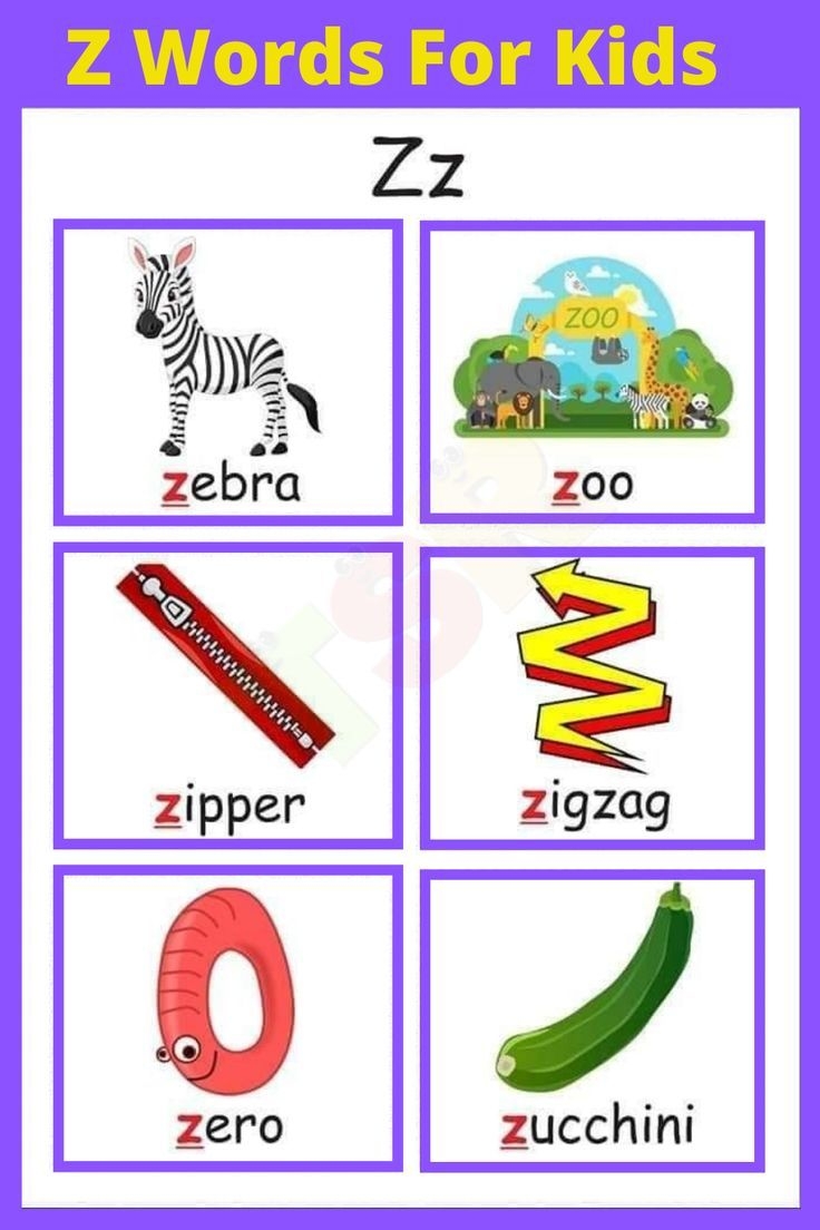 Z Words For Kids Which Things That Start With Z Learn Vocabulary Words That Start With Z Z Words For Kids Which Things That Start With Z Learn Vocabulary Words That Start With Z